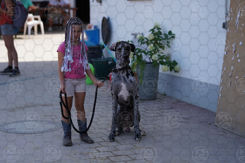 s_A9_00473.jpg